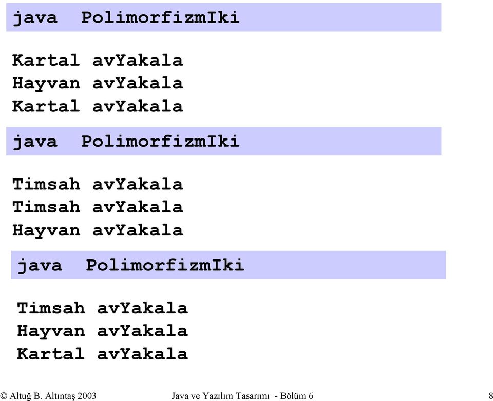 Hayvan avyakala java PolimorfizmIki Timsah avyakala Hayvan