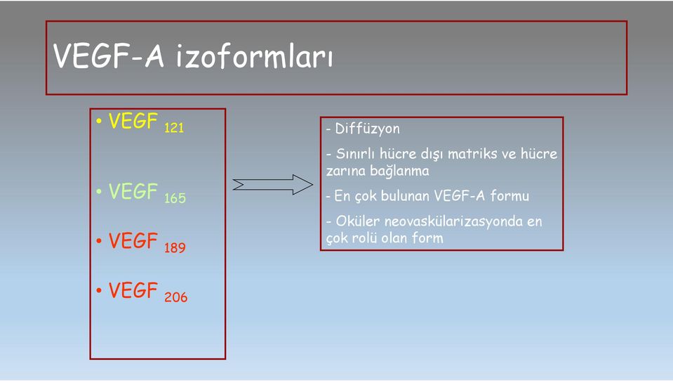 zarına bağlanma - En çok bulunan VEGF-A formu -