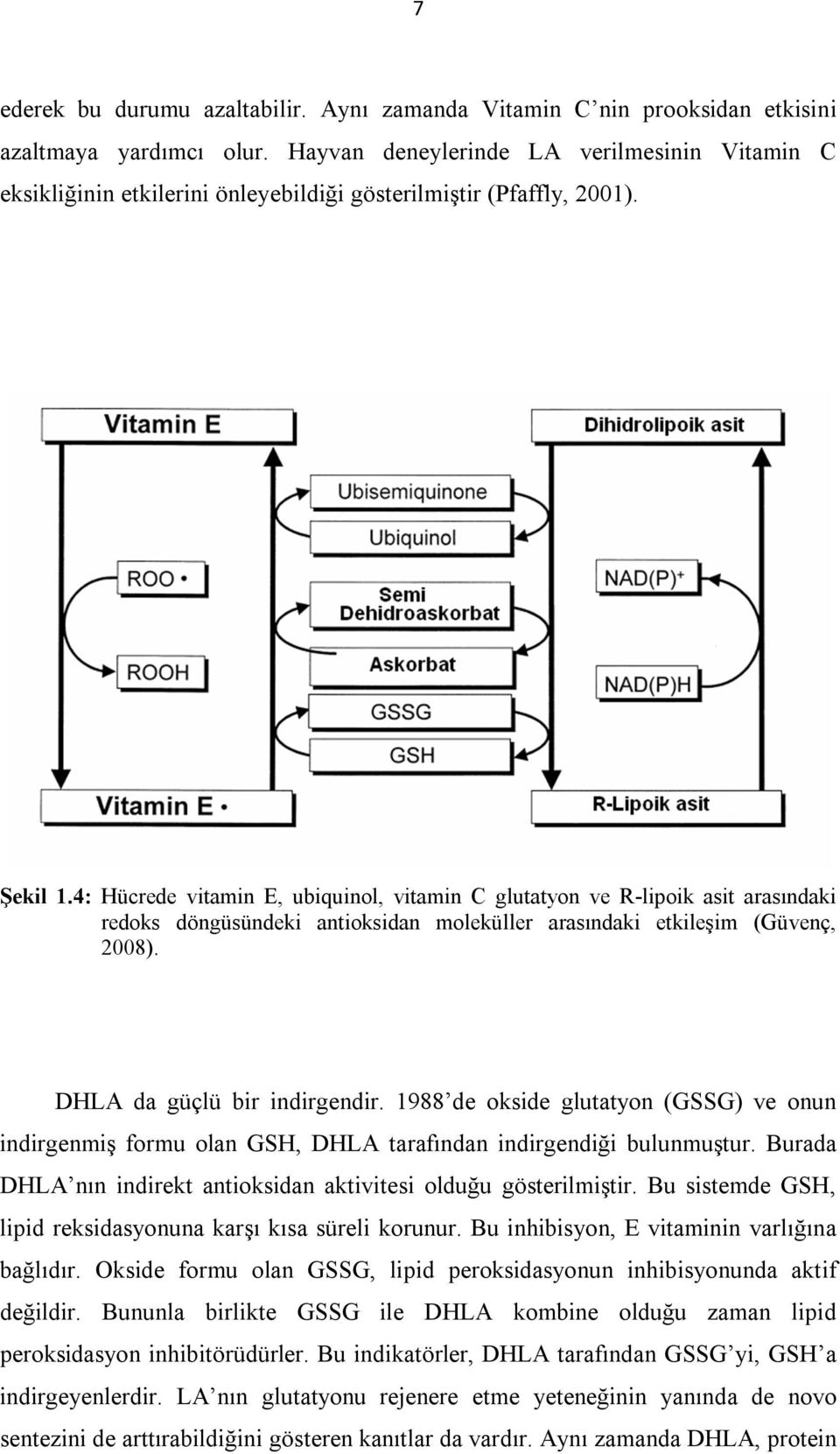 4: Hücrede vitamin E, ubiquinol, vitamin C glutatyon ve R-lipoik asit arasındaki redoks döngüsündeki antioksidan moleküller arasındaki etkileşim (Güvenç, 2008). DHLA da güçlü bir indirgendir.