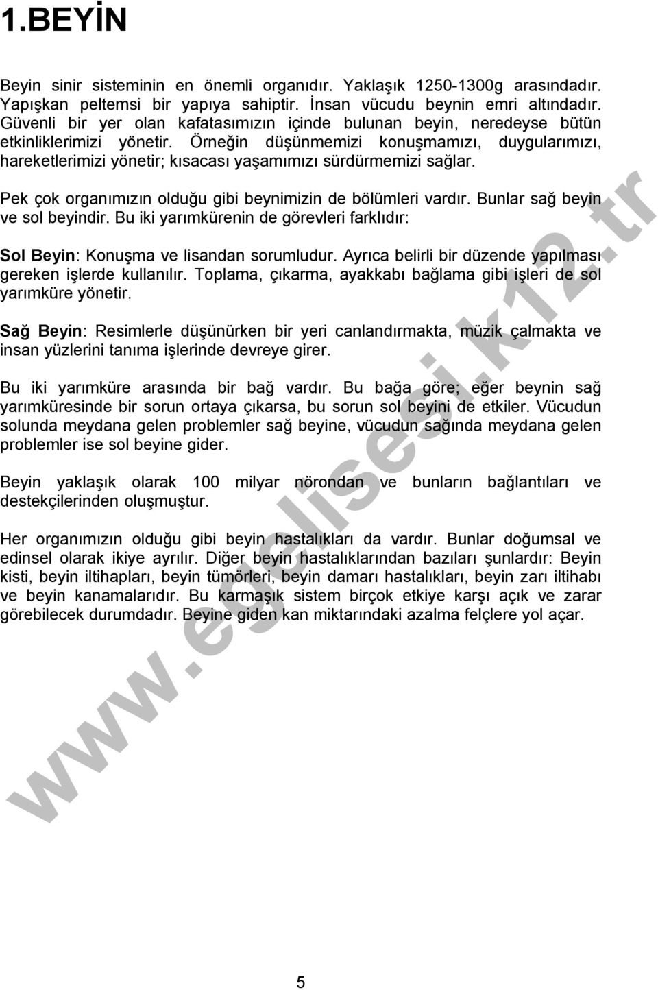 Örneğin düşünmemizi konuşmamızı, duygularımızı, hareketlerimizi yönetir; kısacası yaşamımızı sürdürmemizi sağlar. Pek çok organımızın olduğu gibi beynimizin de bölümleri vardır.