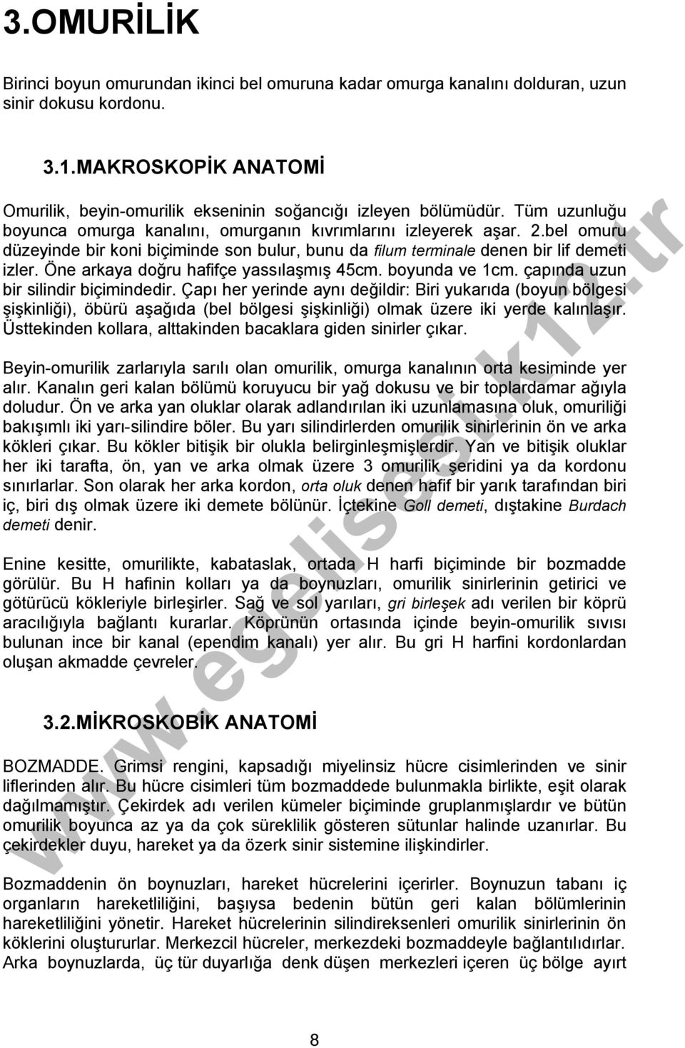 Öne arkaya doğru hafifçe yassılaşmış 45cm. boyunda ve 1cm. çapında uzun bir silindir biçimindedir.