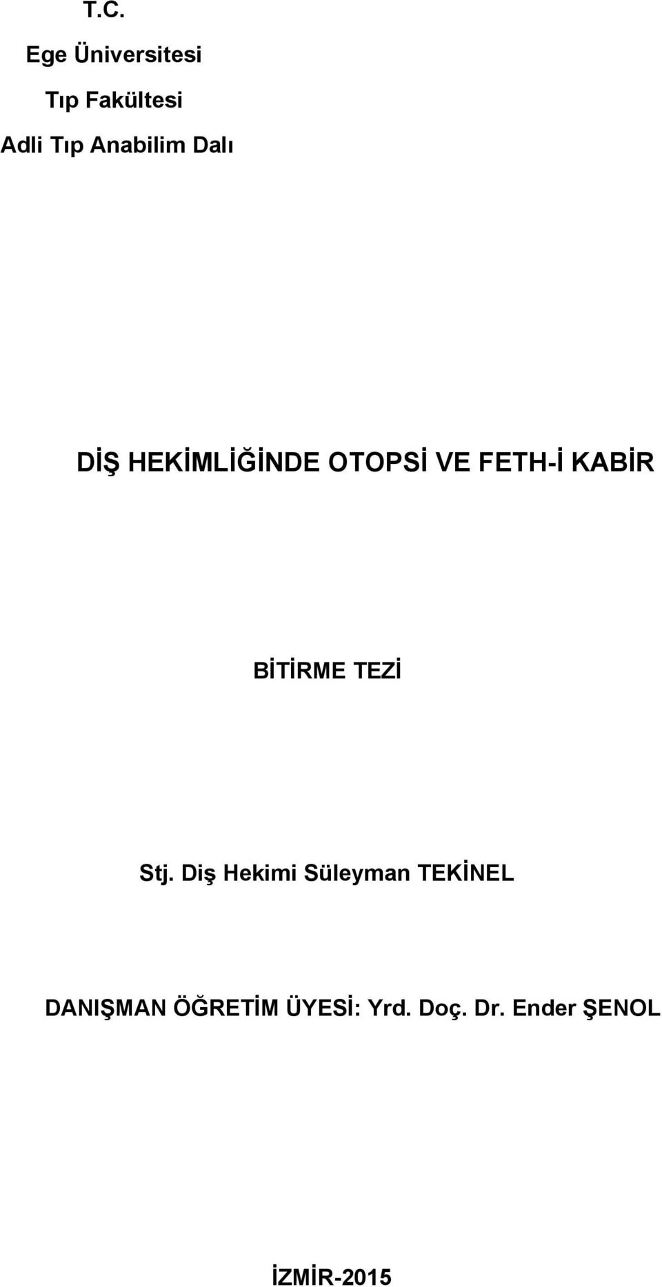 KABİR BİTİRME TEZİ Stj.