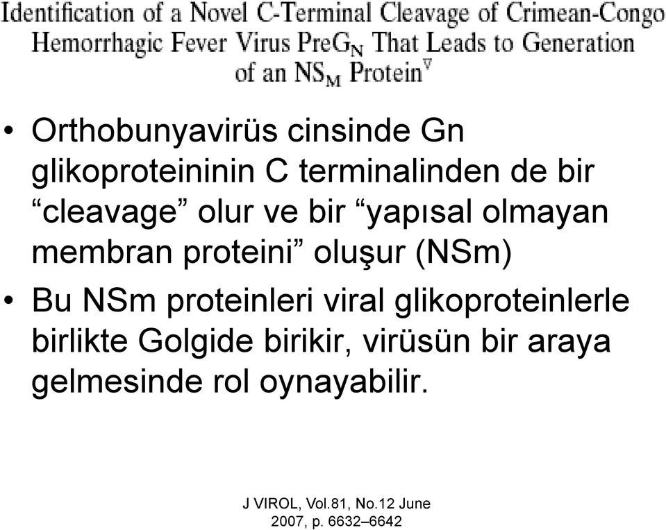 proteinleri viral glikoproteinlerle birlikte Golgide birikir, virüsün ü