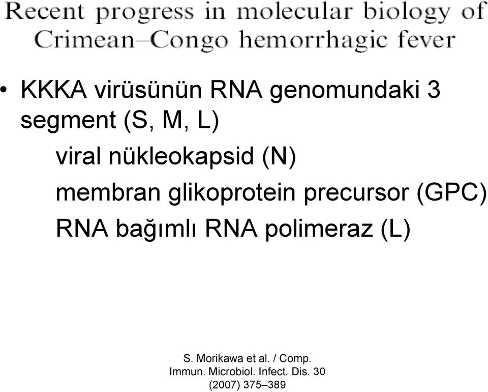 precursor (GPC) RNA bağımlı RNA polimeraz (L) S.