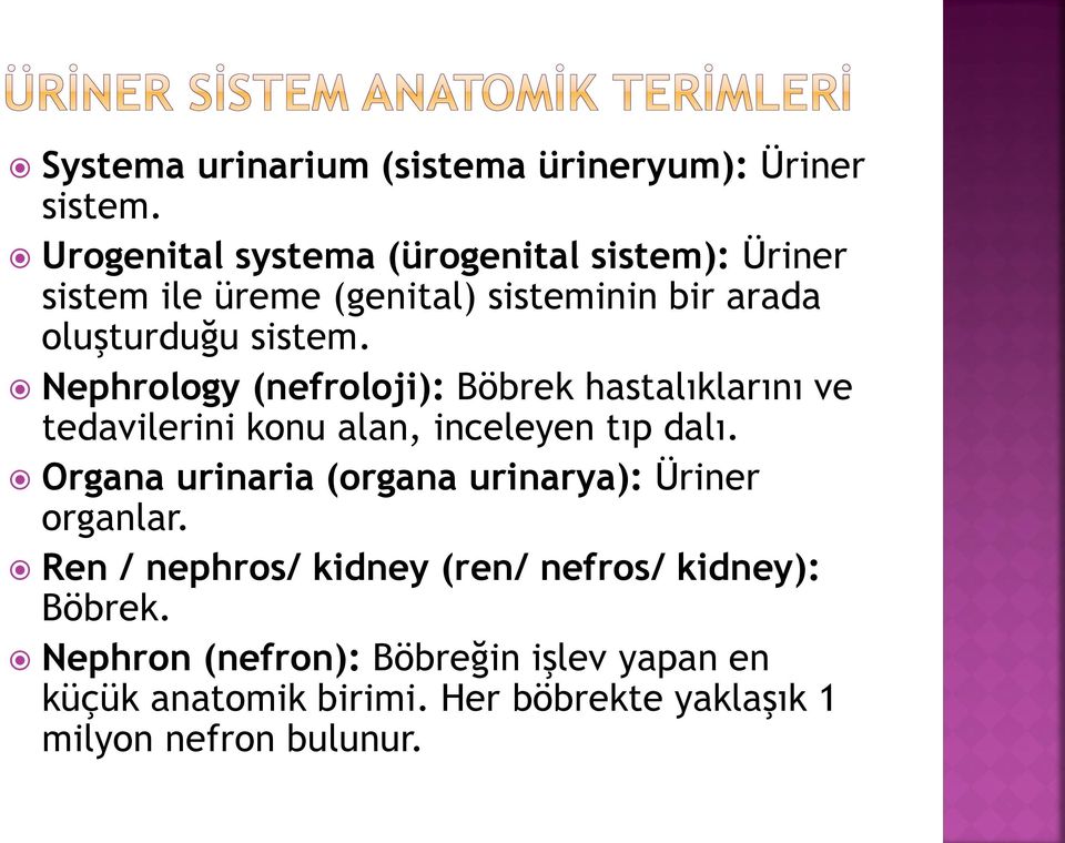 Nephrology (nefroloji): Böbrek hastalıklarını ve tedavilerini konu alan, inceleyen tıp dalı.