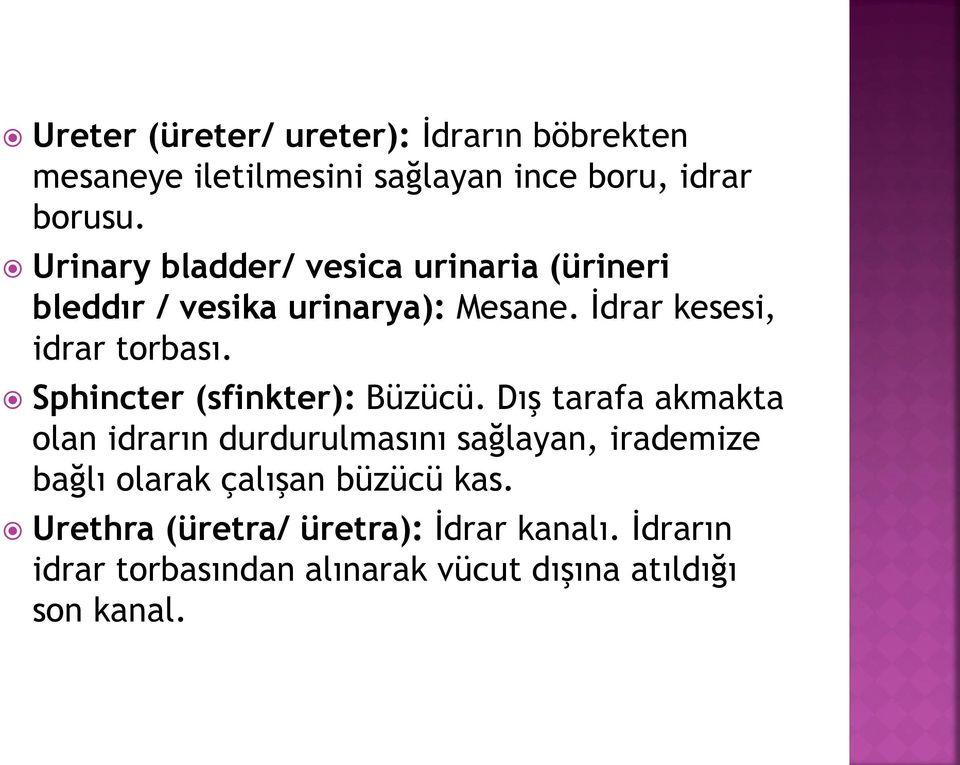 Sphincter (sfinkter): Büzücü.