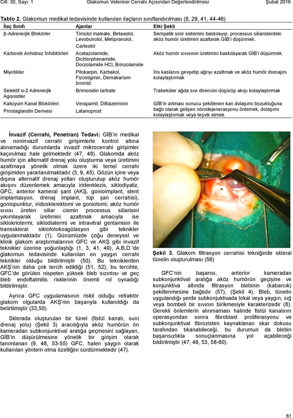 Adrenerjik Agonistler Timolol maleate, Betaxolol, Levobunolol, Metipranolol, Carteolol Acetazolamide, Dichlorphenamide, Dorzolamide HCl, Brinzolamide Pilokarpin, Karbakol, Fizostigmin, Demakarium