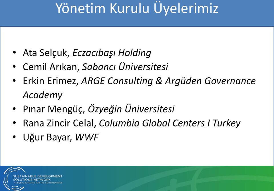 Argüden Governance Academy Pınar Mengüç, Özyeğin Üniversitesi