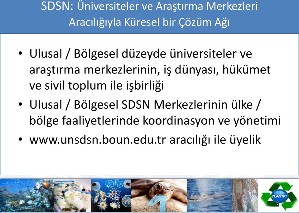 hükümet ve sivil toplum ile is birliği Ulusal / Bölgesel SDSN Merkezlerinin ülke /