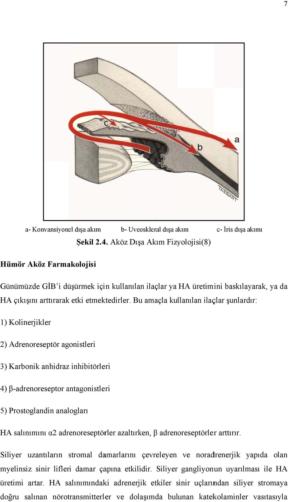 etmektedirler.