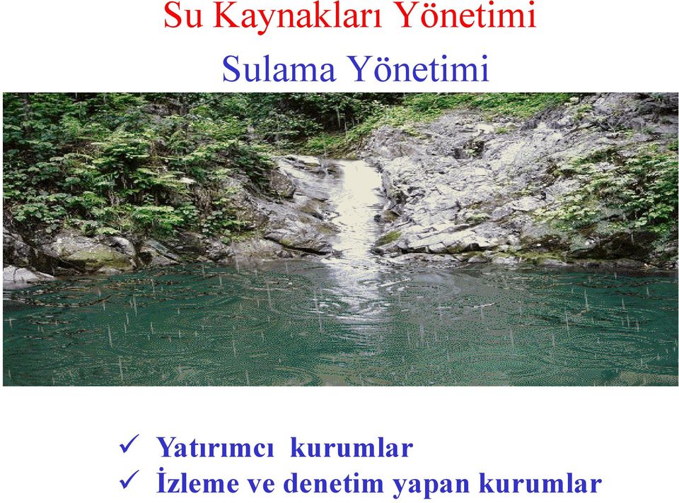 Yatırımcı kurumlar