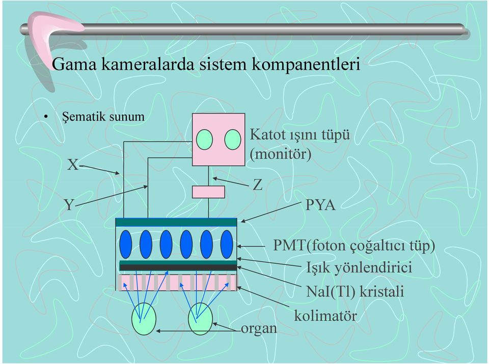 (monitör) Z PYA PMT(foton çoğaltıcı tüp)