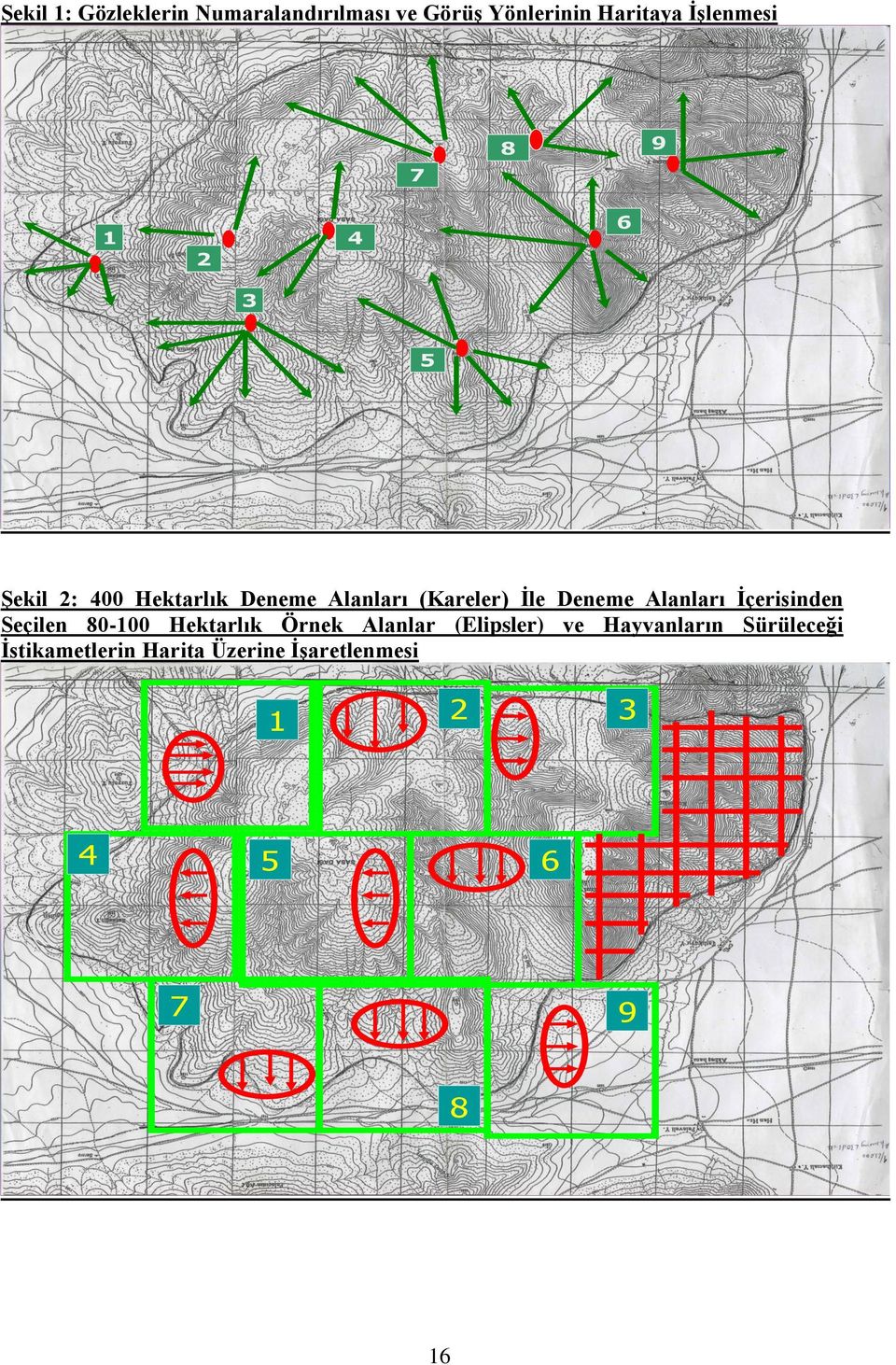 Alanları İçerisinden Seçilen 80-100 Hektarlık Örnek Alanlar (Elipsler) ve