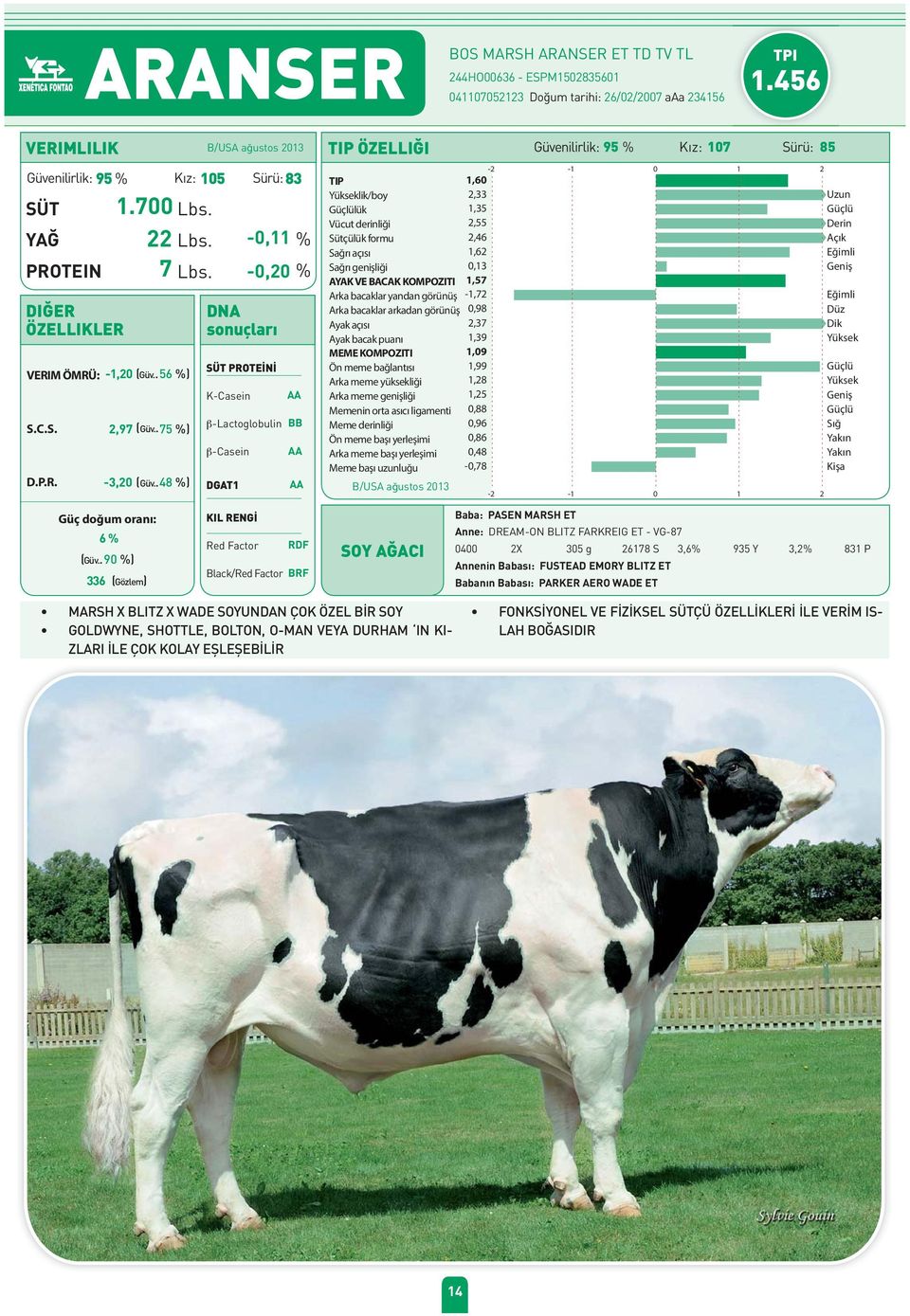 -0,20 % AYAK VE BACAK KOMPOZITI 1,57 2,55 Arka bacaklar yandan görünüş -1,72 Arka bacaklar arkadan görünüş 0,98 2,37 1,39 1,09 VERIM ÖMRÜ: -1,20 56 %) 1,99 1,28 K-Casein AA Arka meme genişliği 1,25