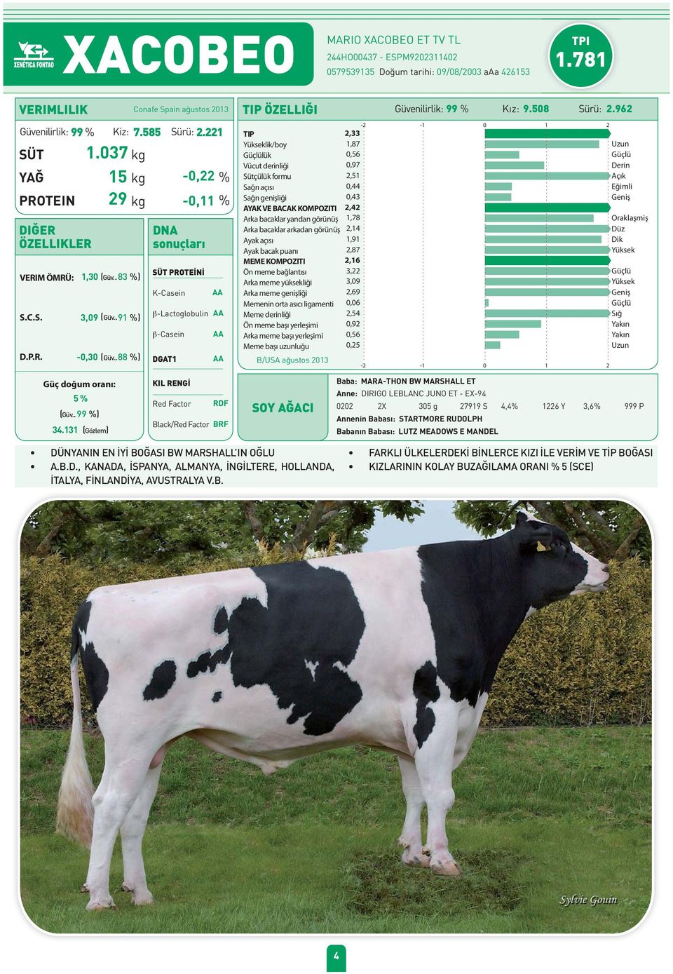 037 kg lik/boy 1,87 lük 0,56 YAĞ 15 kg -0,22 % Sütçülük formu 2,51 0,44 0,43 PROTEIN 29 kg -0,11 % AYAK VE BACAK KOMPOZITI 2,42 0,97 Arka bacaklar yandan görünüş 1,78 Arka bacaklar arkadan görünüş