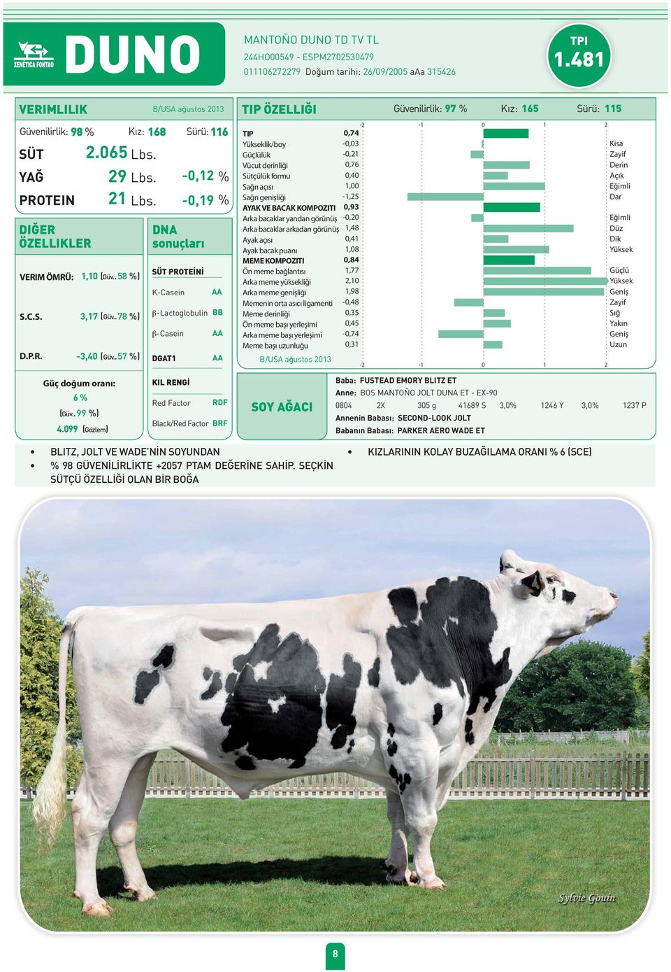 -0,19 % AYAK VE BACAK KOMPOZITI 0,93 0,76 Arka bacaklar yandan görünüş -0,20 Arka bacaklar arkadan görünüş 1,48 0,41 1,08 0,84 VERIM ÖMRÜ: 1,10 58 %) 1,77 2,10 K-Casein AA Arka meme genişliği 1,98