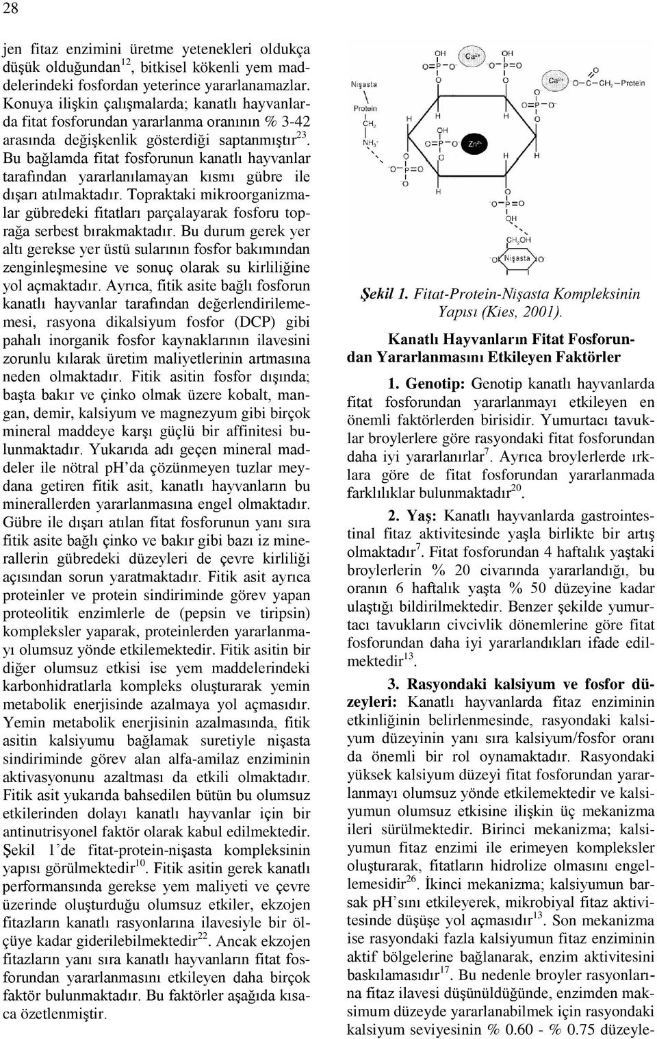 Bu bağlamda fitat fosforunun kanatlı hayvanlar tarafından yararlanılamayan kısmı gübre ile dışarı atılmaktadır.