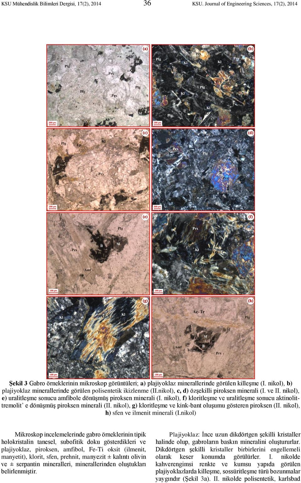 nikol), f) kloritleşme ve uralitleşme sonucu aktinolittremolit e dönüşmüş piroksen minerali (II. nikol), g) kloritleşme ve kink-bant oluşumu gösteren piroksen (II.