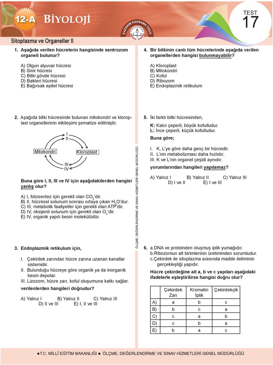 Bir bitkinin canlı tüm hücrelerinde aşağıda verilen organellerden hangisi bulunmayabilir? A) Kloroplast B) Mitokondri C) Koful D) Ribozom E) Endoplazmik retikulum 2.