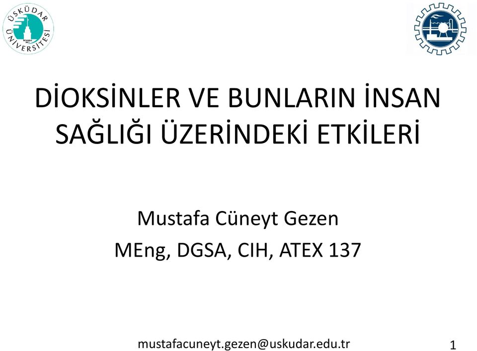 Mustafa Cüneyt Gezen MEng, DGSA,
