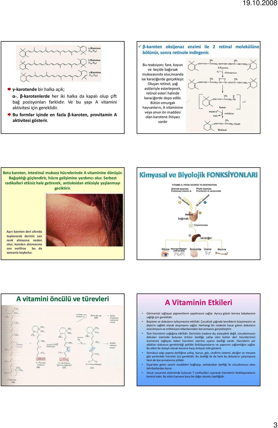 Bu reaksiyon; fare, koyun ve keçide bağırsak mukozasında olur,insanda ise karaciğerde gerçekleşir. Oluşan retinol, yağ asitleriyle esterleşerek, retinolesteri halinde karaciğerde depo edilir.