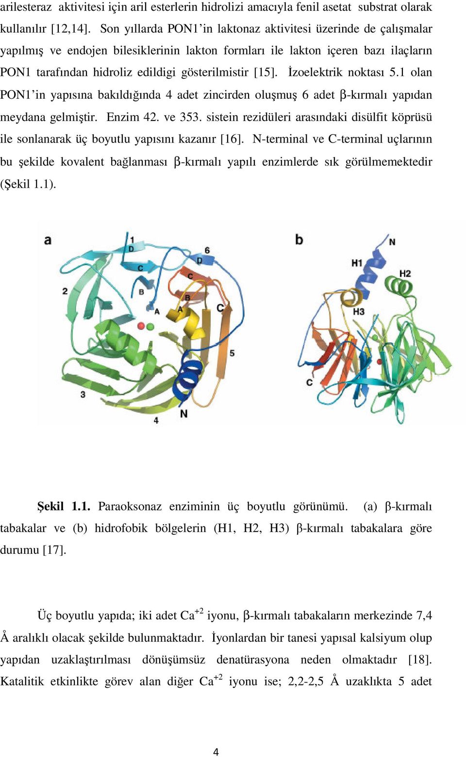 [15]. İzoelektrik noktası 5.1 olan PON1 in yapısına bakıldığında 4 adet zincirden oluşmuş 6 adet β-kırmalı yapıdan meydana gelmiştir. Enzim 42. ve 353.