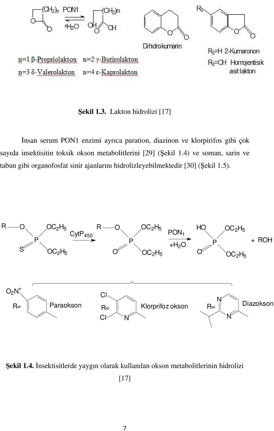 metabolitlerini [29] (Şekil 1.4) ve soman, sarin ve tabun gibi organofosfat sinir ajanlarını hidrolizleyebilmektedir [30] (Şekil 1.5).