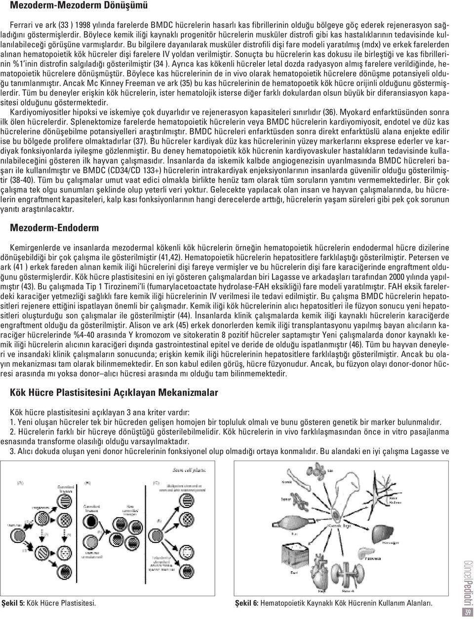 Bu bilgilere dayan larak musküler distrofili difli fare modeli yarat lm fl (mdx) ve erkek farelerden al nan hematopoietik kök hücreler difli farelere IV yoldan verilmifltir.