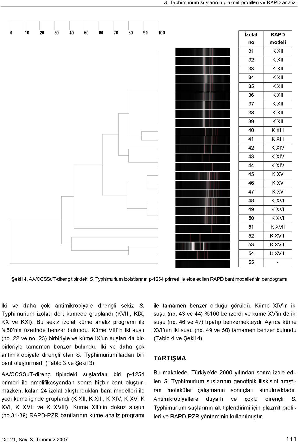 Typhimurium izolatlarının p-1254 primeri ile elde edilen RAPD bant modellerinin dendogramı İki ve daha çok antimikrobiyale dirençli sekiz S.