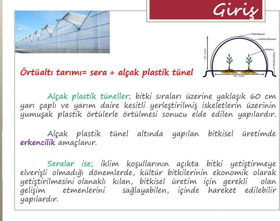 Alçak plastik tünel altında yapılan bitkisel üretimde erkencilik amaçlanır.