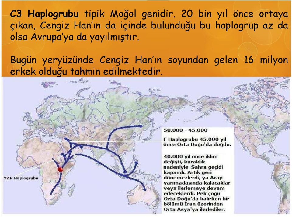 bulunduğu bu haplogrup az da olsa Avrupa ya da yayılmıştır.