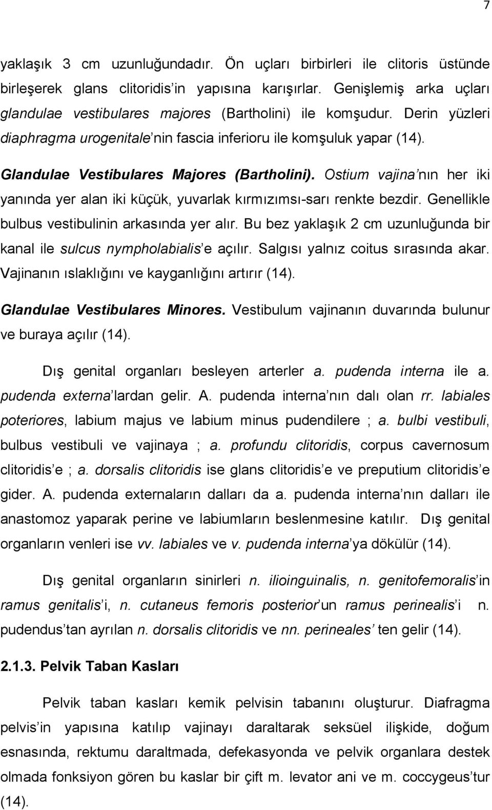 Glandulae Vestibulares Majores (Bartholini). Ostium vajina nın her iki yanında yer alan iki küçük, yuvarlak kırmızımsı-sarı renkte bezdir. Genellikle bulbus vestibulinin arkasında yer alır.