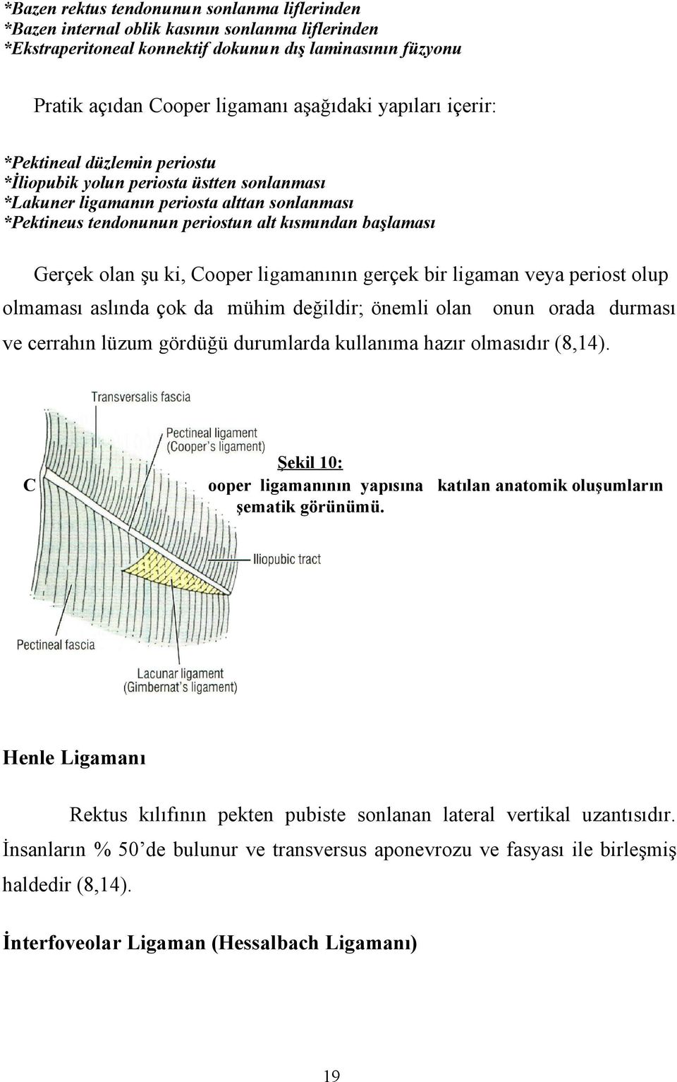 olan şu ki, Cooper ligamanının gerçek bir ligaman veya periost olup olmaması aslında çok da mühim değildir; önemli olan onun orada durması ve cerrahın lüzum gördüğü durumlarda kullanıma hazır