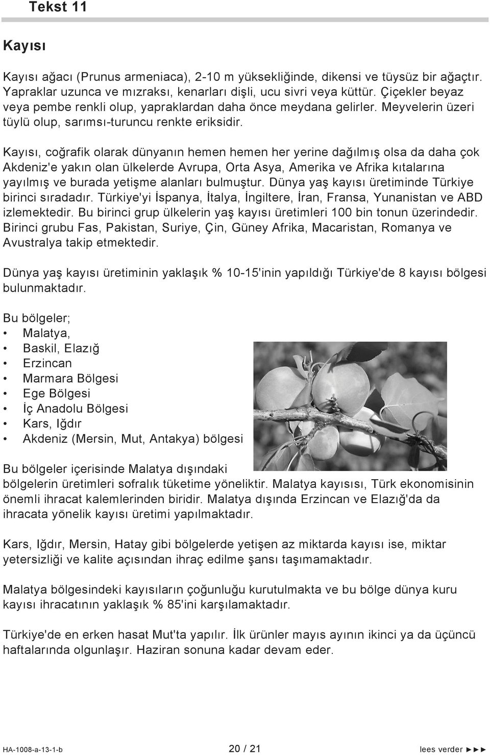 Kayısı, coğrafik olarak dünyanın hemen hemen her yerine dağılmış olsa da daha çok Akdeniz'e yakın olan ülkelerde Avrupa, Orta Asya, Amerika ve Afrika kıtalarına yayılmış ve burada yetişme alanları