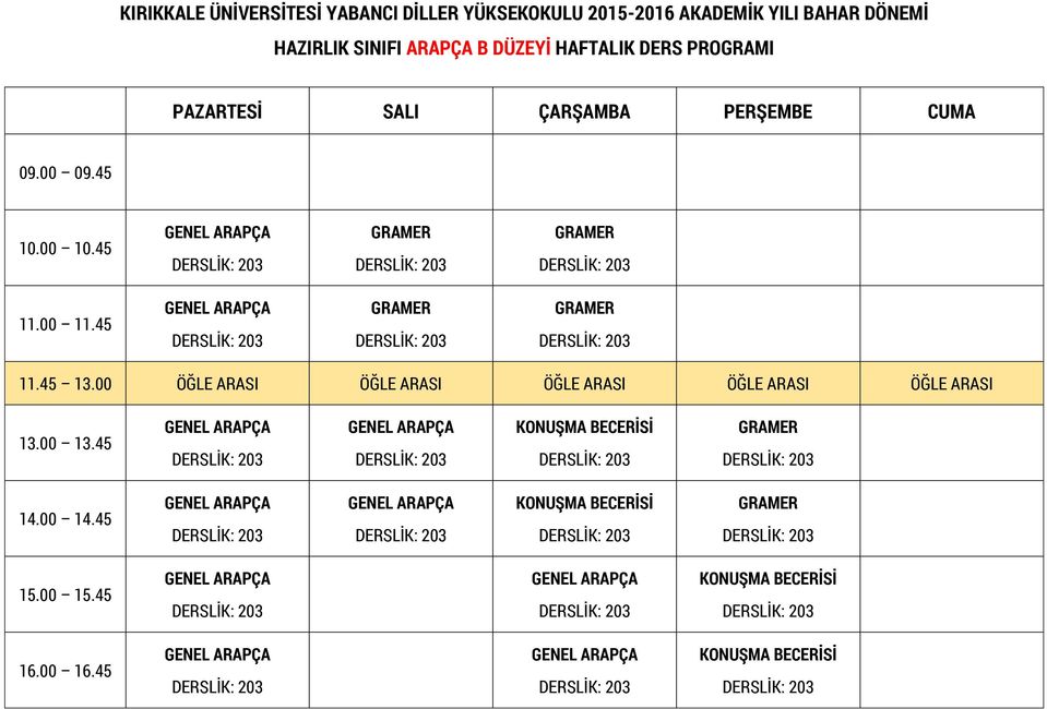 PROGRAMI BECERİSİ