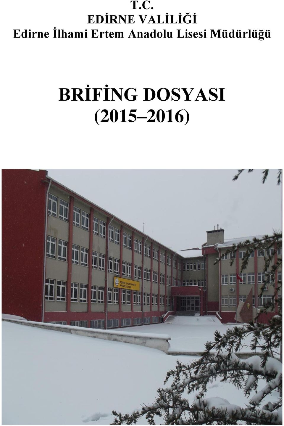 Anadolu Lisesi