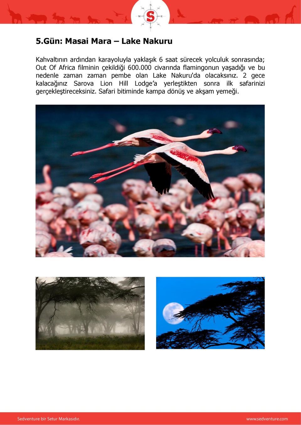 000 civarında flamingonun yaşadığı ve bu nedenle zaman zaman pembe olan Lake Nakuru'da