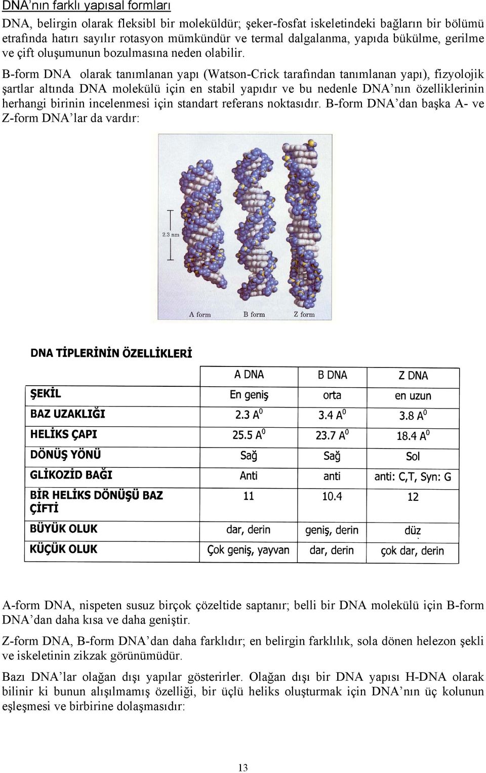 B-form DNA olarak tanımlanan yapı (Watson-Crick tarafından tanımlanan yapı), fizyolojik şartlar altında DNA molekülü için en stabil yapıdır ve bu nedenle DNA nın özelliklerinin herhangi birinin