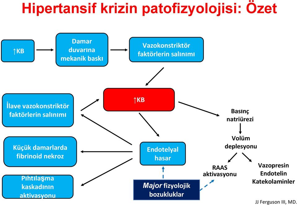 damarlarda fibrinoid nekroz Pıhtılaşma kaskadının aktivasyonu Endotelyal hasar Major