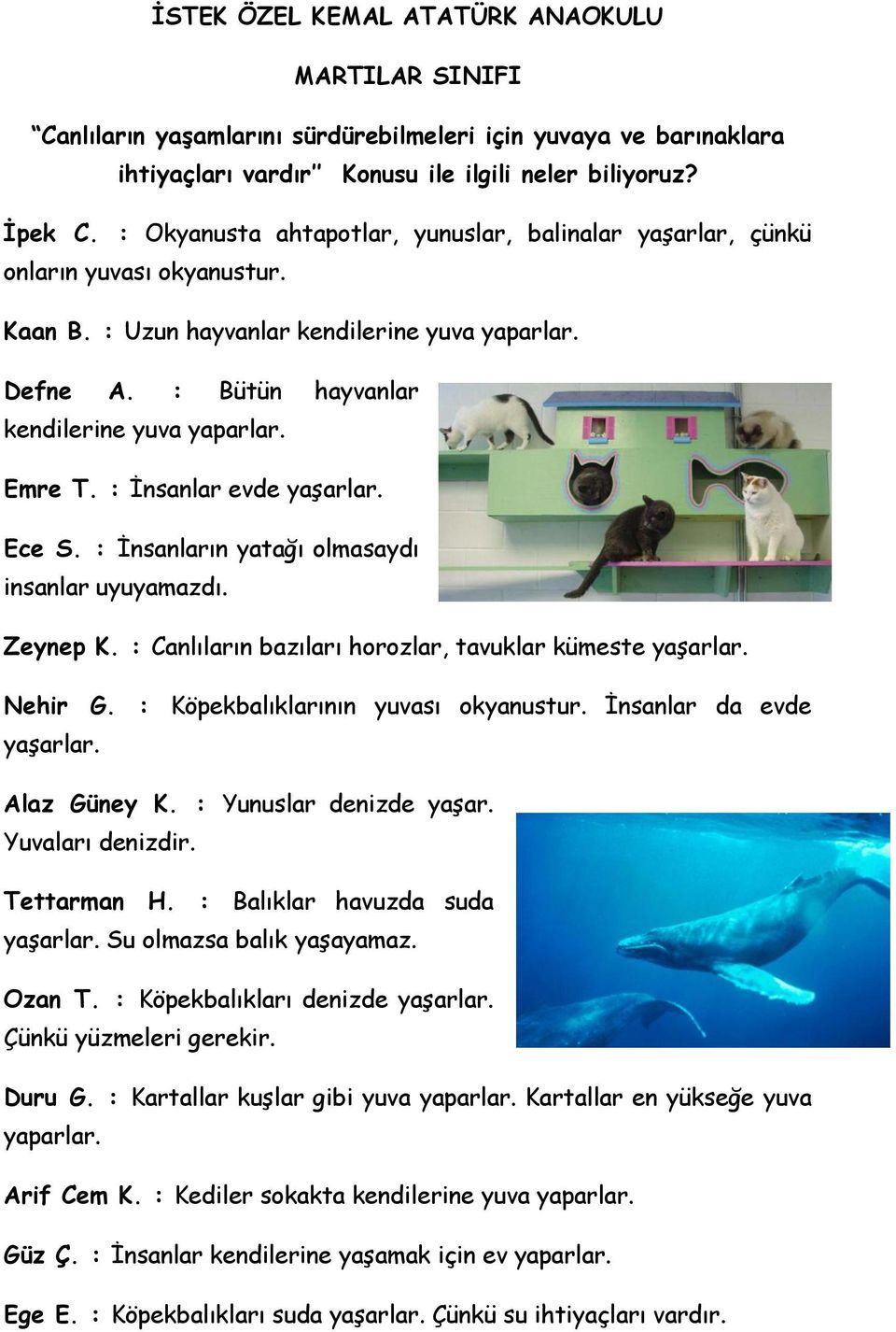 : İnsanlar evde yaşarlar. Ece S. : İnsanların yatağı olmasaydı insanlar uyuyamazdı. Zeynep K. : Canlıların bazıları horozlar, tavuklar kümeste yaşarlar. Nehir G. : Köpekbalıklarının yuvası okyanustur.