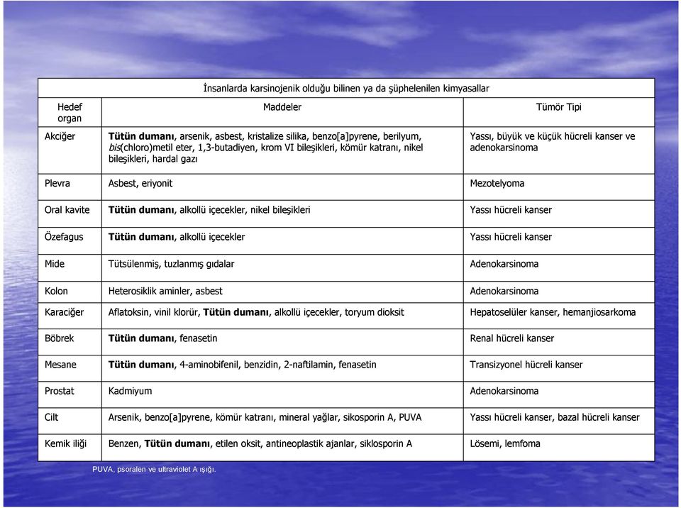 kanser ve adenokarsinoma Mezotelyoma Tümör r Tipi Oral kavite Tütün n dumanı,, alkollü içecekler, nikel bileşikleri ikleri Yassı hücreli kanser Özefagus Tütün n dumanı,, alkollü içecekler Yassı