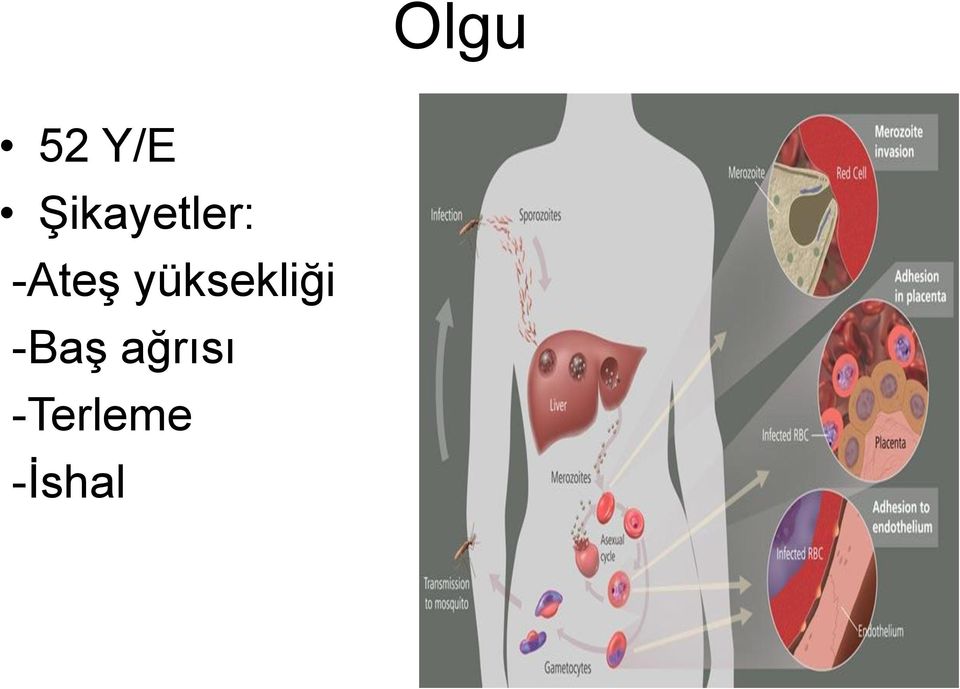 -AteĢ yüksekliği