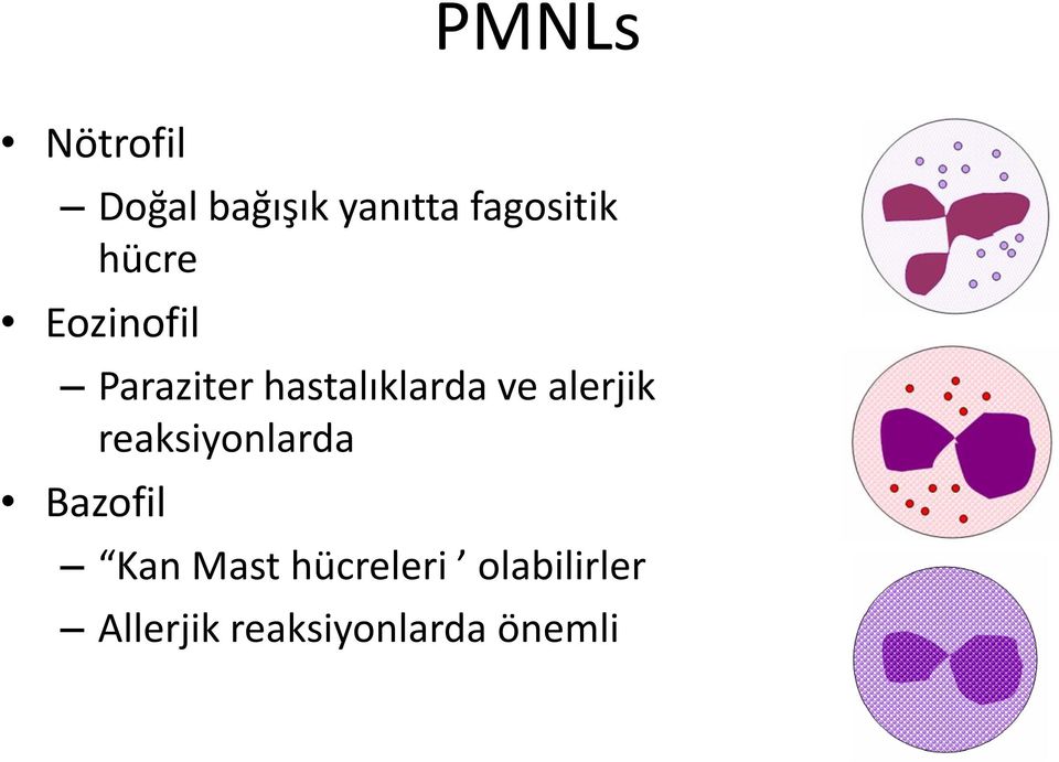 hastalıklarda ve alerjik reaksiyonlarda