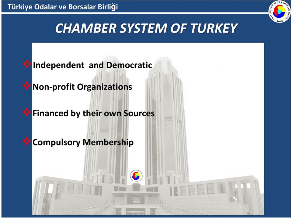 Non-profit Organizations Financed