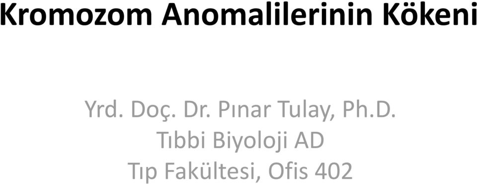Pınar Tulay, Ph.D.