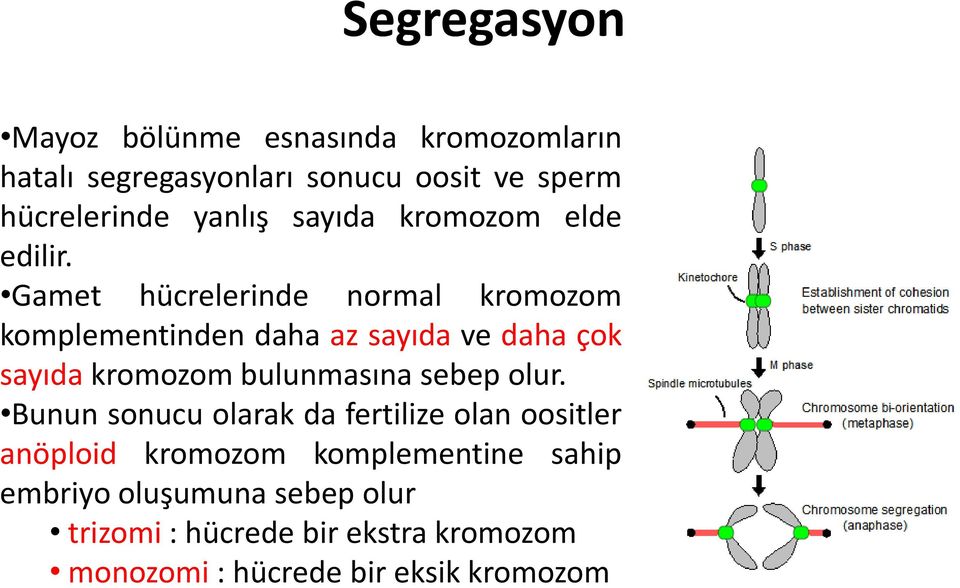 Gamet hücrelerinde normal kromozom komplementinden daha az sayıda ve daha çok sayıda kromozom bulunmasına sebep
