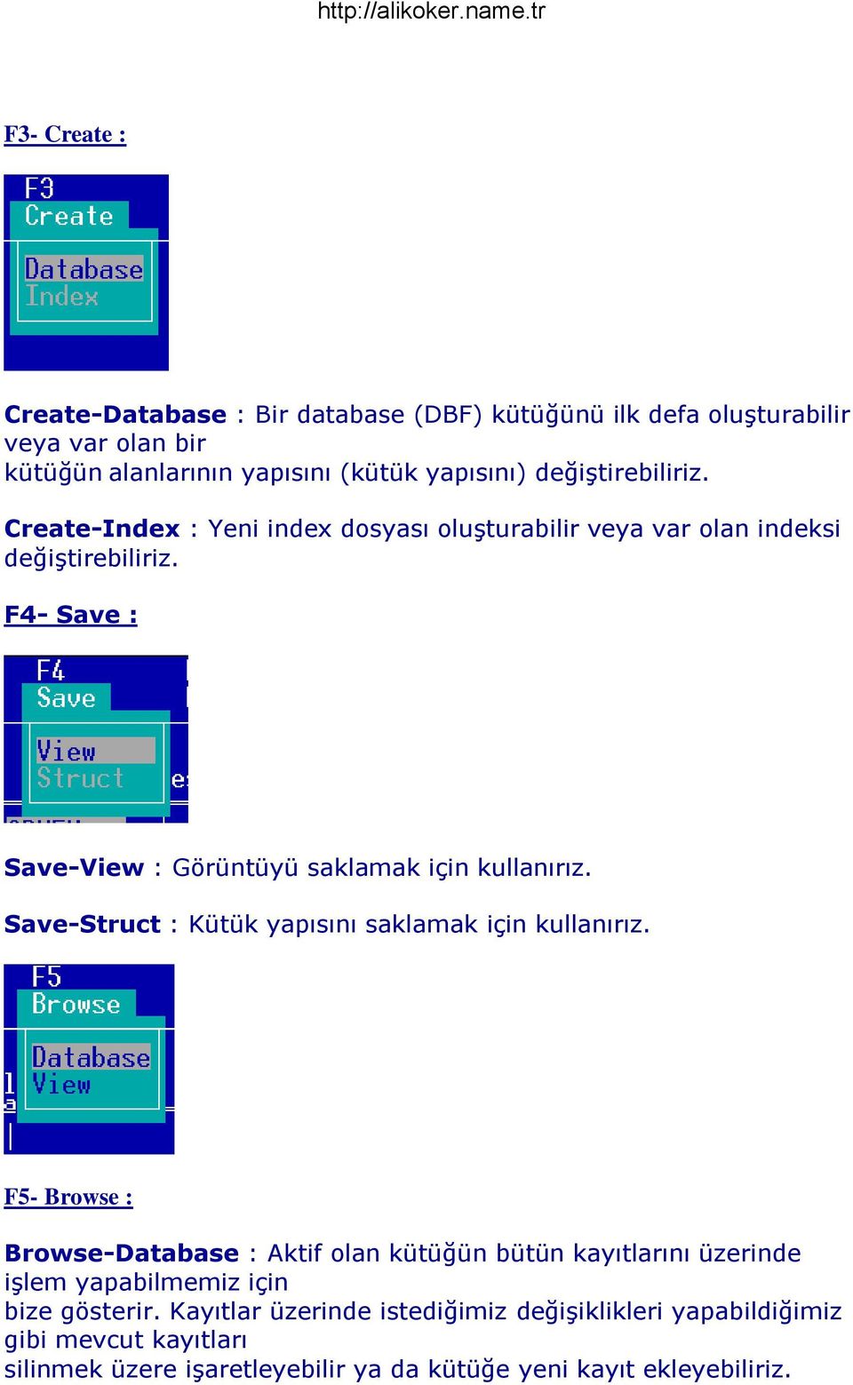 F4- Save : Save-View : Görüntüyü saklamak için kullanırız. Save-Struct : Kütük yapısını saklamak için kullanırız.