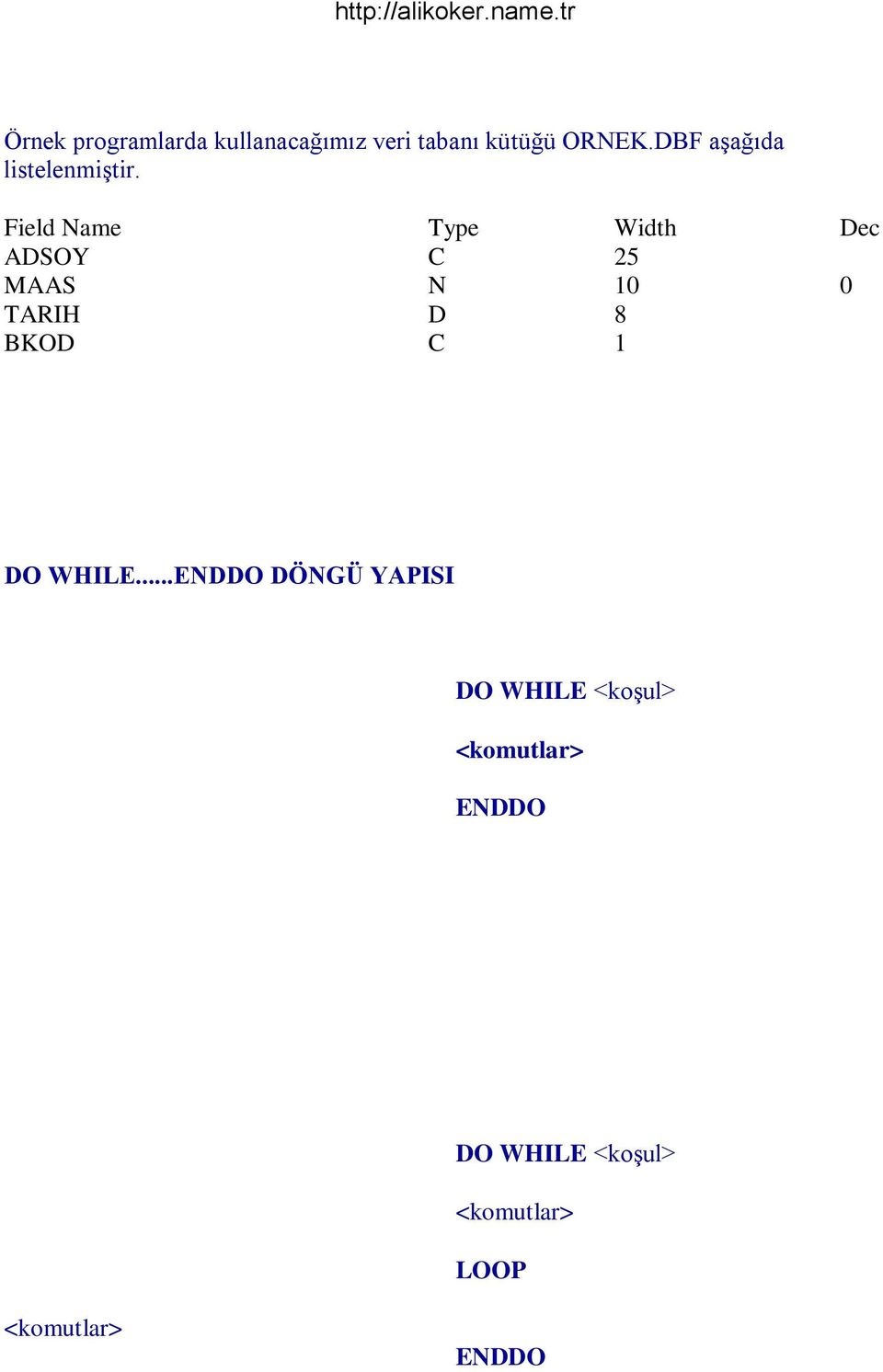 Field Name Type Width Dec ADSOY C 25 MAAS N 10 0 TARIH D 8 BKOD C