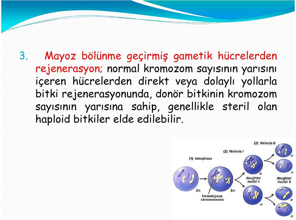 yollarla bitki rejenerasyonunda, donör bitkinin kromozom sayısının