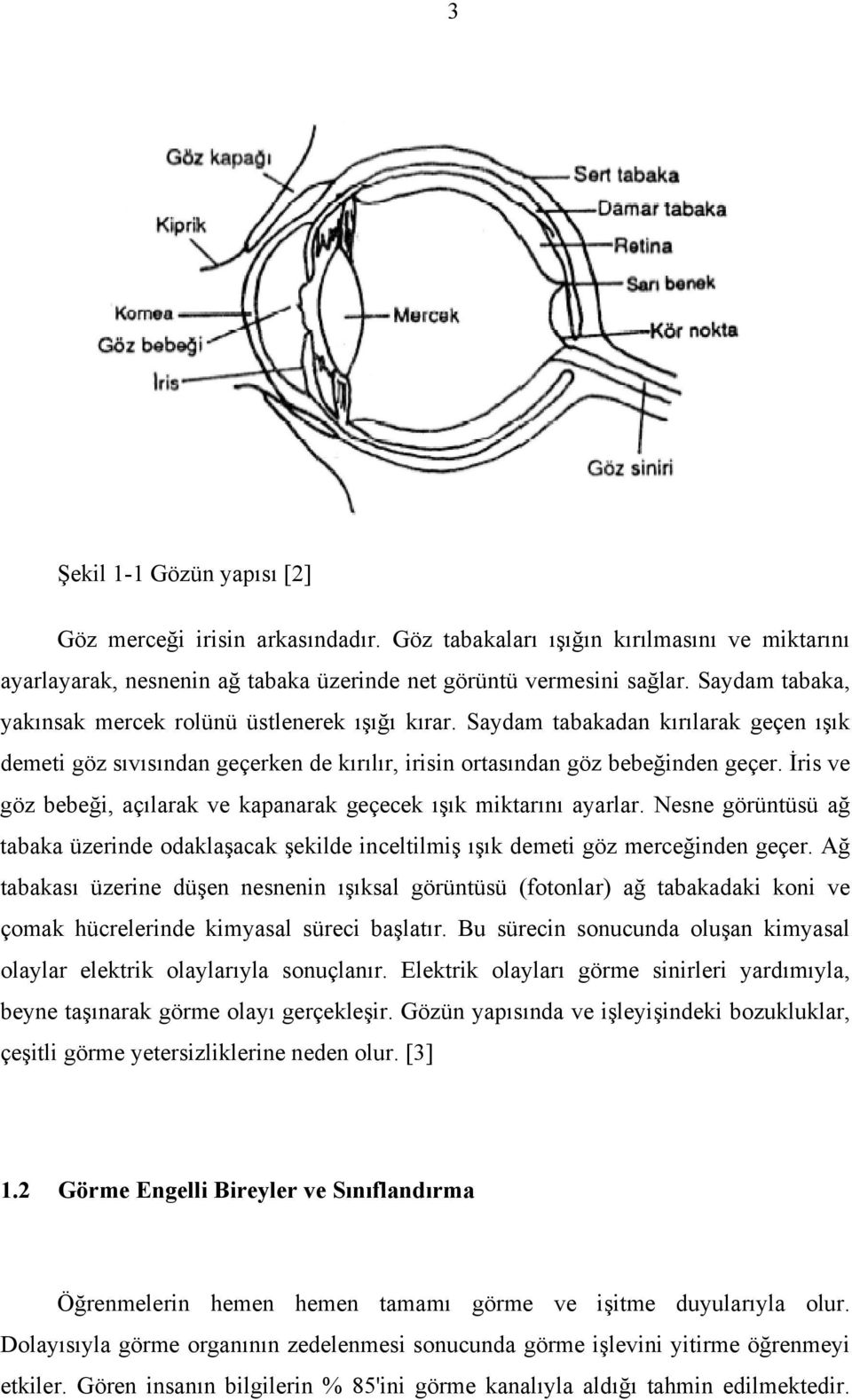 İris ve göz bebeği, açılarak ve kapanarak geçecek ışık miktarını ayarlar. Nesne görüntüsü ağ tabaka üzerinde odaklaşacak şekilde inceltilmiş ışık demeti göz merceğinden geçer.